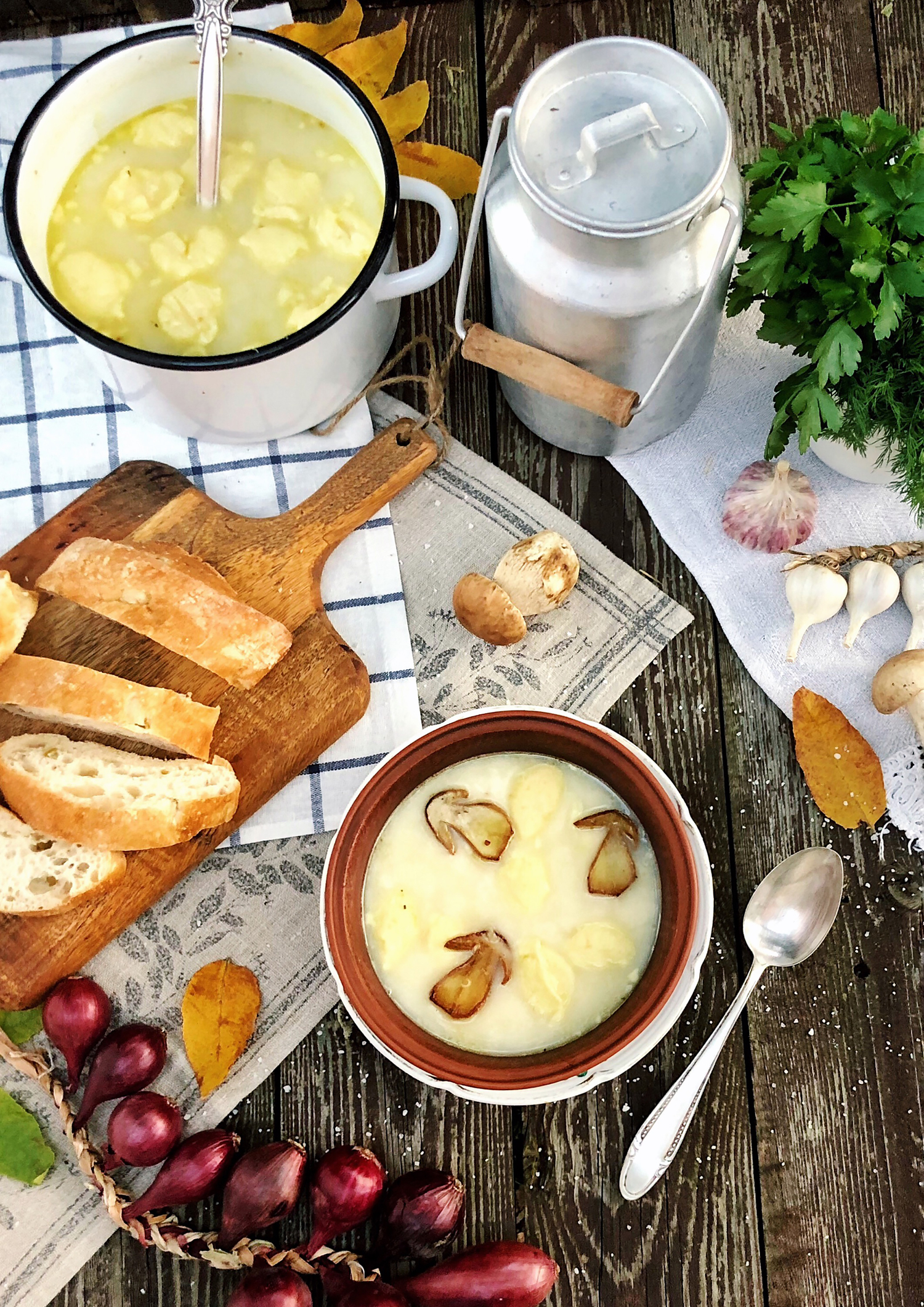 Суп с белыми грибами и картофельными клецками